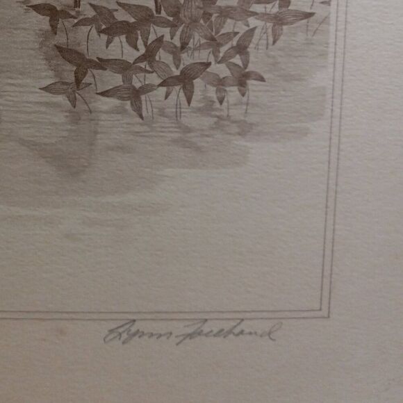 Vintage American Waterfowl Etching/Print Lynn Forehand 3 of 5 Cottagecor… - Picture 3 of 7